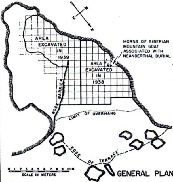 Reconstruction of the 'burial' with ibex horns at Teshik Tash