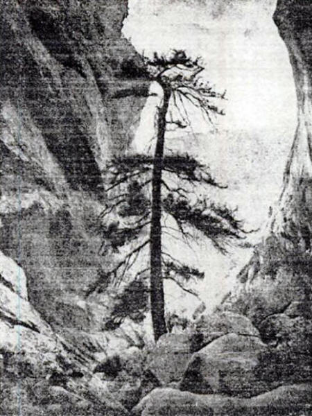 The Teshik Tash gorge showing the steep canyon-like walls and boulder strewn stream bed. The cave entrance can be seen behind the base of the tree to its left.