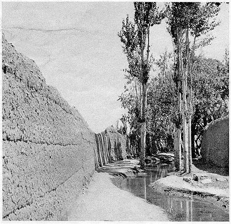 Stream from the kariz flowing as an above ground stream