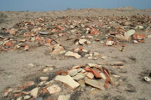 Thousands of pottery shards are scattered across the Gonur-depe excavation site