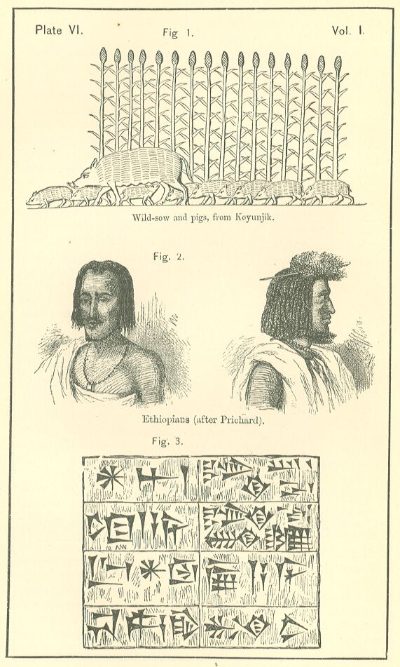 Plate 6
