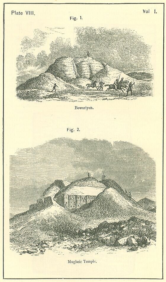 Plate 8
