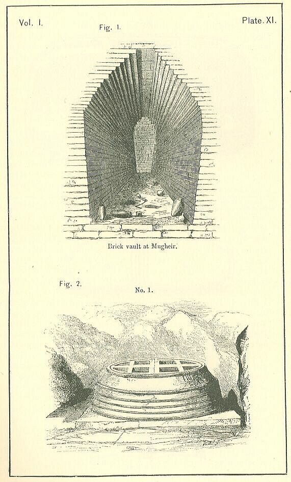 Plate 11
