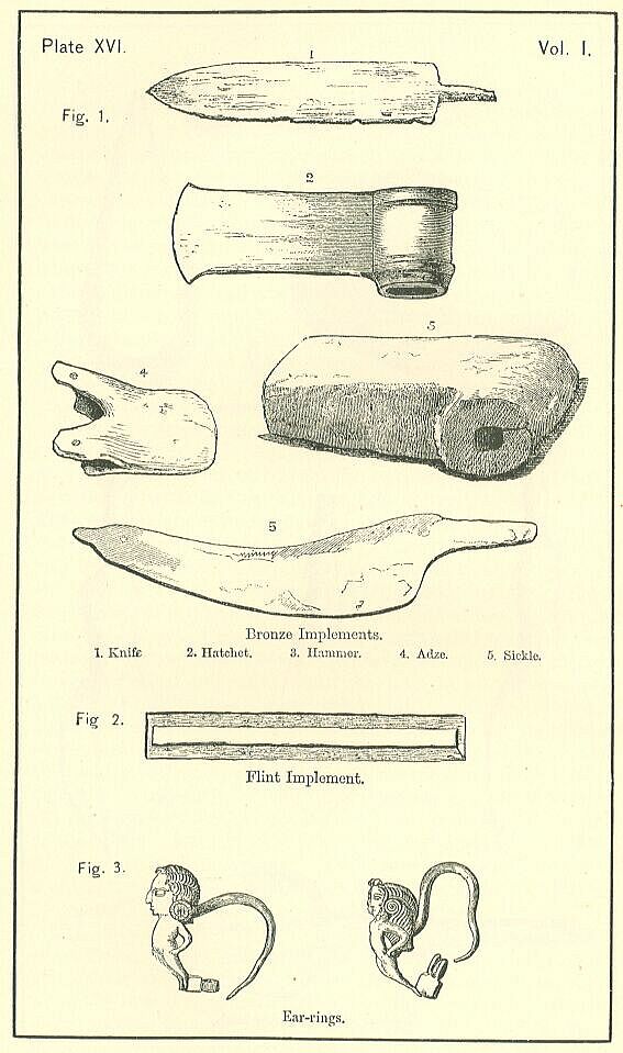 Plate 16
